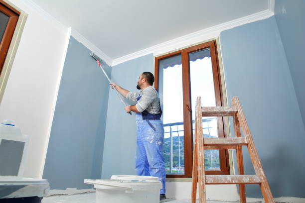 Best Attic Mold Removal  in Vero Beach South, FL