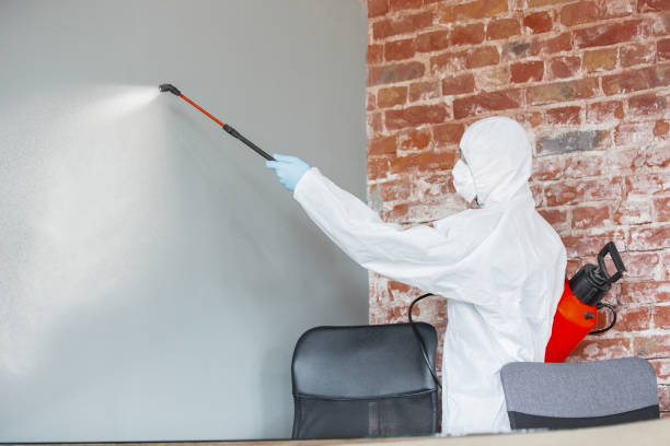 Best Industrial Mold Remediation  in Vero Beach South, FL