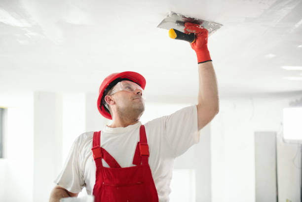 Best Attic Mold Removal  in Vero Beach South, FL