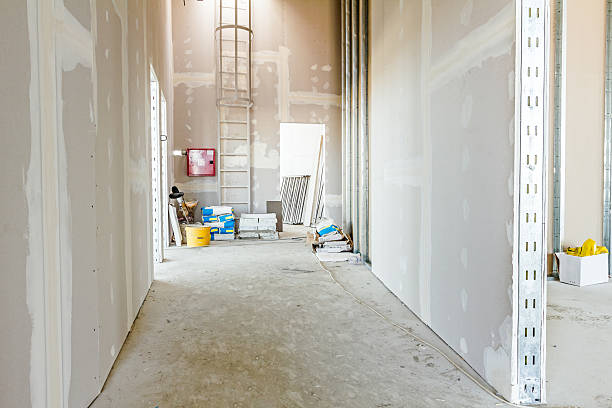 Best Basement Mold Removal  in Vero Beach South, FL